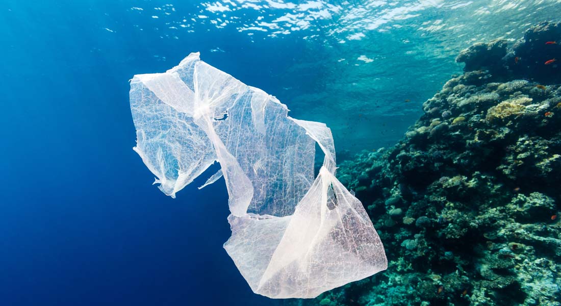 Bag at You - Fashion Blog - Plastic bag pollution and fashionable alternatives