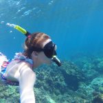 Snorkelling and whale watching on Maui