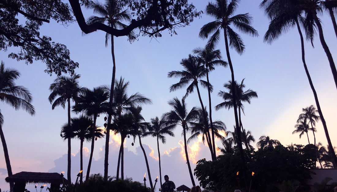 Bag-at-You---Hawaii---Travel-blog
